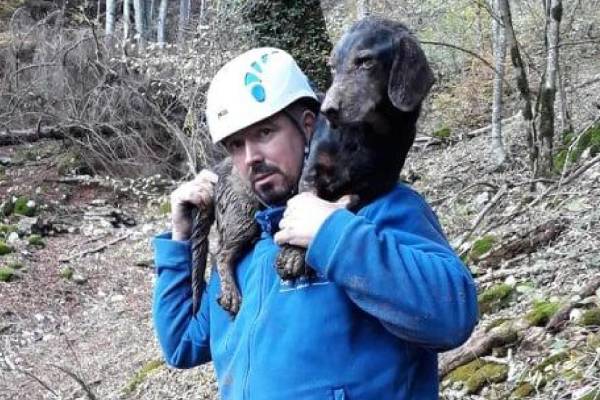 Incroyable sauvetage d'un chien piégé dans un puits