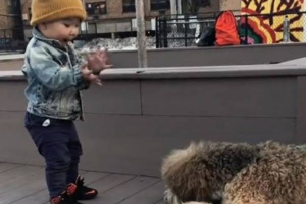 La rencontre adorable entre un enfant et un chiot qui est devenue virale